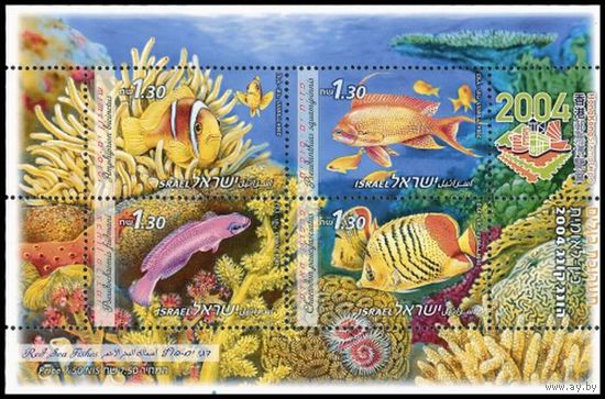 2004 Израиль, 1761-1764/B68, Гонконгская выставка марок с рыбами Красного моря