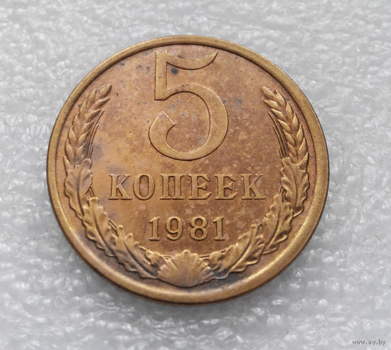 5 копеек 1981 СССР #09