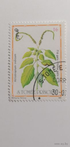 Сан Томе и Принсипи 1983. Медицинские растения.