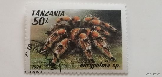 Танзания 1994. Пауки.