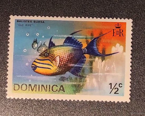 Доминика: 1м Рыба