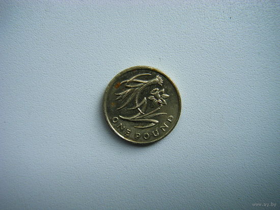 Британия 1 фунт 2013г.