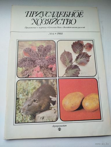Журнал Приусадебное хозяйство #6 1988 года