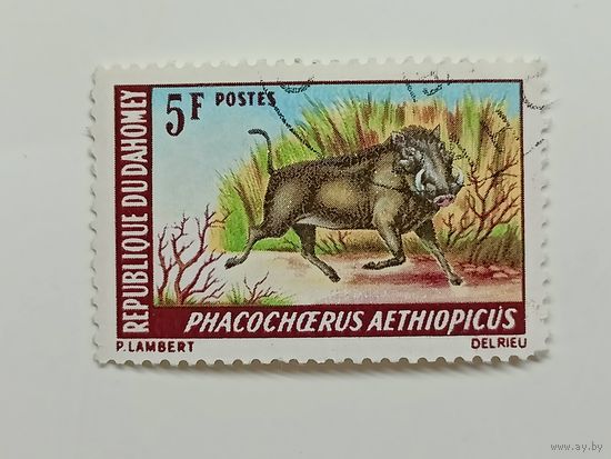Дагомея 1969. Животные