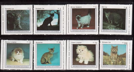 Гвинея Экваториальная-1976 (Мих.797-804)  ** , Фауна, Кошки, (полная серия)