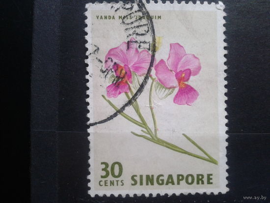 Сингапур, 1962. Цветок Ванда гибридная