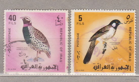 Птицы Фауна Ирак 1968 год лот 1072