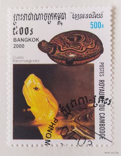 Камбоджа 2000. Черепаха
