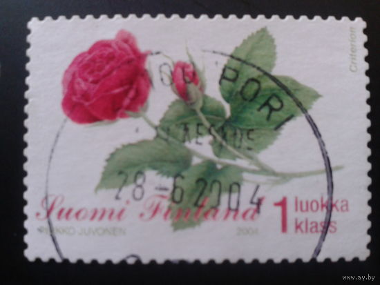 Финляндия 2004 роза