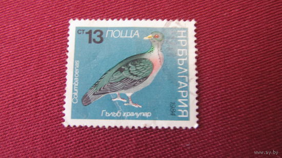 Болгария 1984г. Птицы - Голуби и голуби