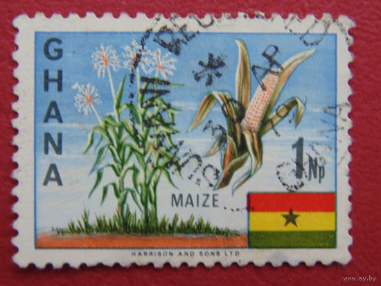 Гана. Кукуруза. Флаг.