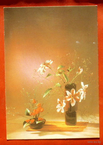 Цветы. Чистая. 1984 года. Фото Гукова. 1791.