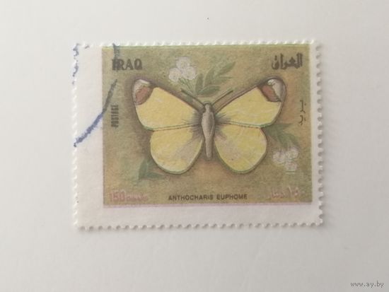 Ирак 1998. Бабочки