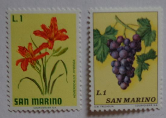 Сан-Марино.флора