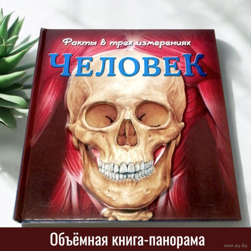 "Факты в трёх измерениях: Человек" объёмная энциклопедия-панорама на Русском