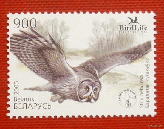 Беларусь. Птица года. Бородатая неясыть ( 1 марка ) 2005 года.