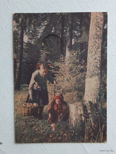Ананьин дети грибы  1954  10х15 см