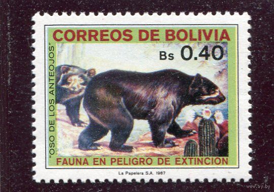 Боливия. Очковый медведь