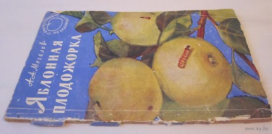 Яблонная плодожорка. 1957 г.