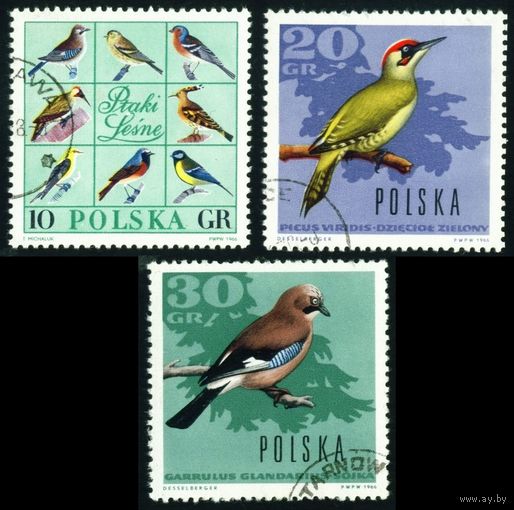 Лесные птицы Польша 1966 год 3 марки