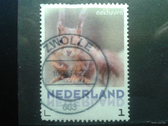 Нидерланды 2013 Фауна