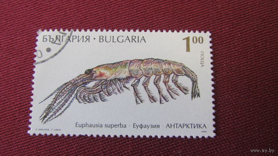 Болгария 1995г. Животные Антарктики