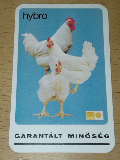 Календарик 1985 - 1986 Венгрия. Реклама. Куры. Цыплята бройлеры