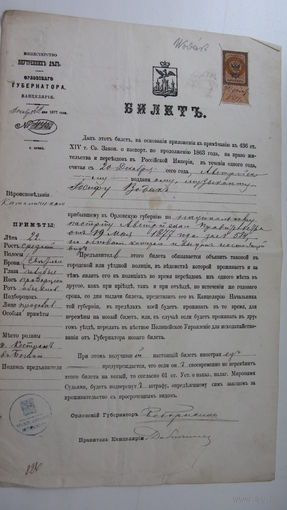 Билет ( паспорт ) 1878 г.