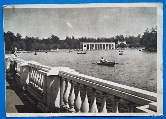 Москва. Измайловский парк. 1951 г. Чистая.