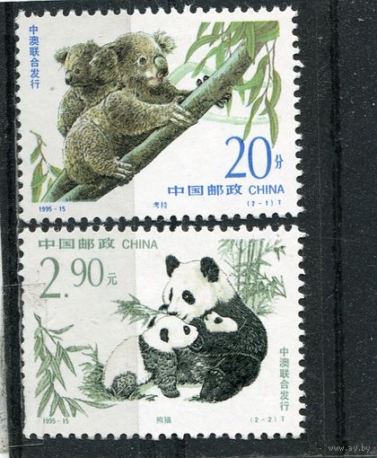 Китай. Охраняемые животные. Коала и большая панда