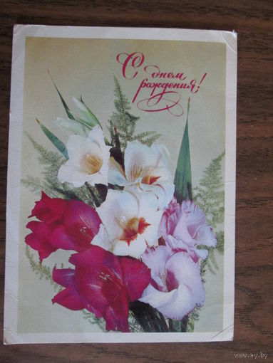 Почтовая открытка.1982г.
