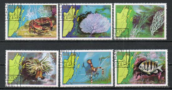 Морские животные Белиз 1982 год серия из 6 марок