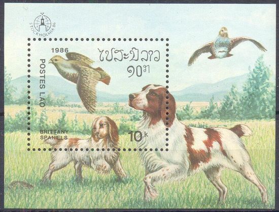 Лаос  фауна собака британский спаниель