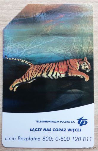 Телефонная карточка - Польша. Тигр.