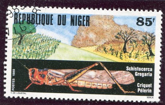 Нигер. Пустынная саранча (африканская)