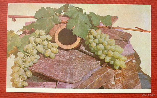 Виноград. Чистая. 1970 года. 80.