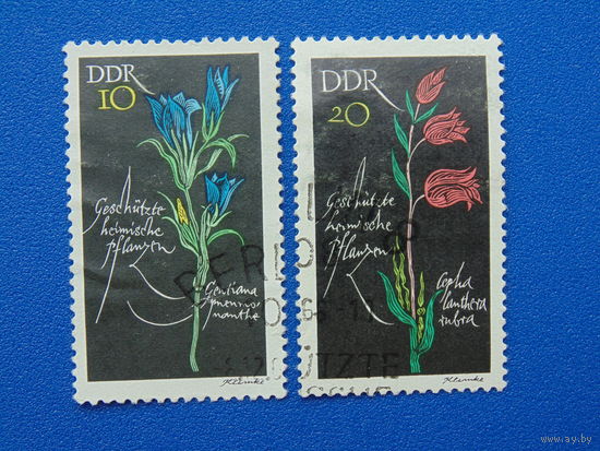 Германия. Цветы. 1966г.