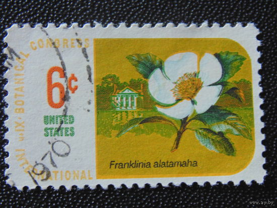 США 1970 г. Цветы.