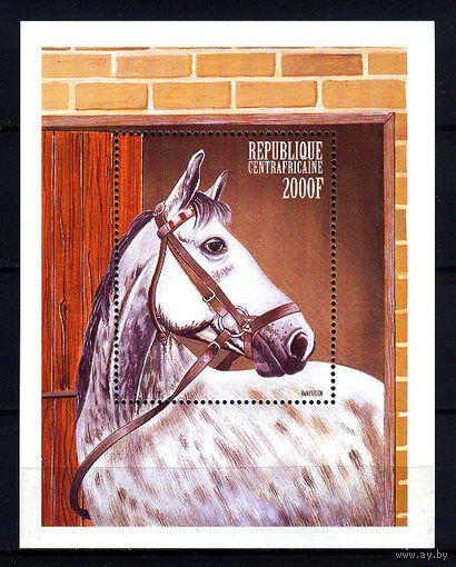 1999 ЦАР. Лошади