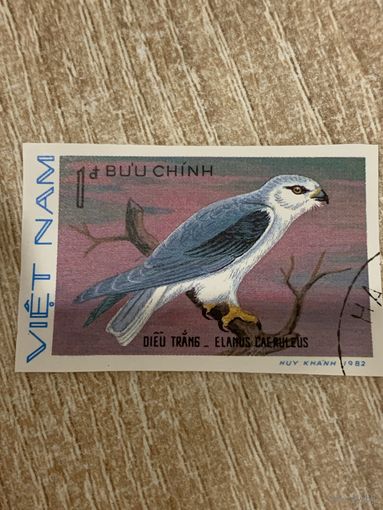 Вьетнам 1982. Хищные птицы. Elanus Calruleus. Марка из серии