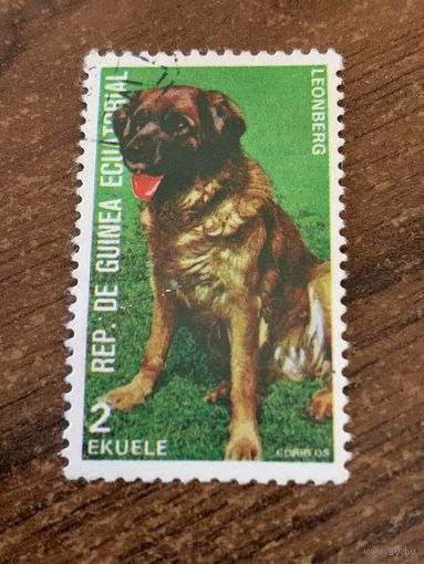 Экваториальная Гвинея 1974. Породы собак. Leonberg. Марка из серии
