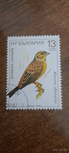 Болгария 1987. Птицы. Emberiza citrinella. Марка из серии