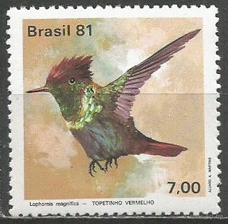Бразилия. Птица Калибри-кокетка. 1981г. Mi#1824.