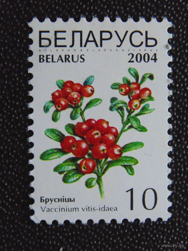 Беларусь 2004 г. Стандарт.