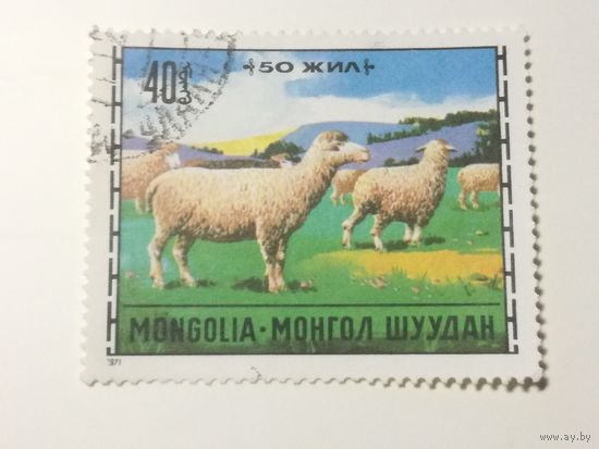 Монголия 1971. Животноводство. Овца