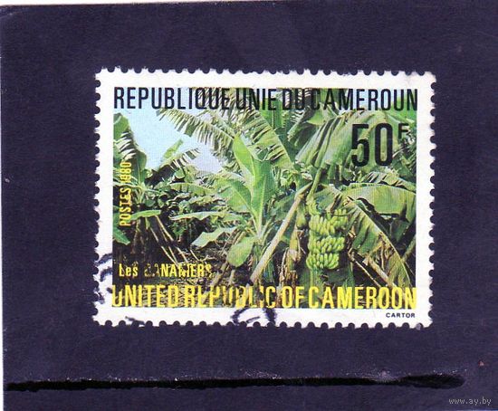Камерун. Пальмы. Бананы. 1980