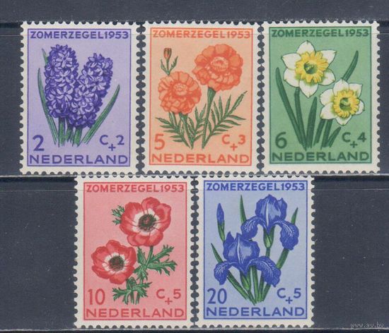 [631] Нидерланды 1953. Флора.Цветы. СЕРИЯ MLH. Кат.30 е.