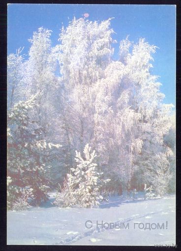 СССР 1989 ДМПК НОВЫЙ ГОД лес  снег лыжня