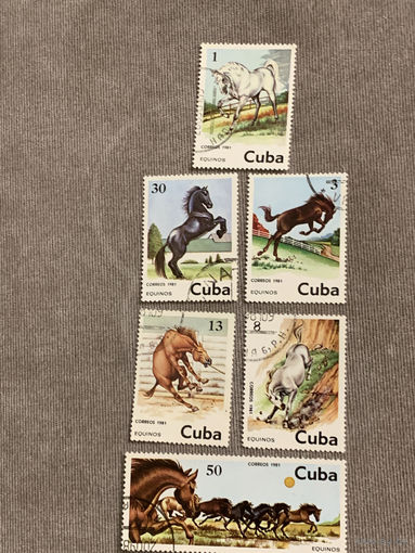 Куба 1981. Породы лошадей. Полная серия