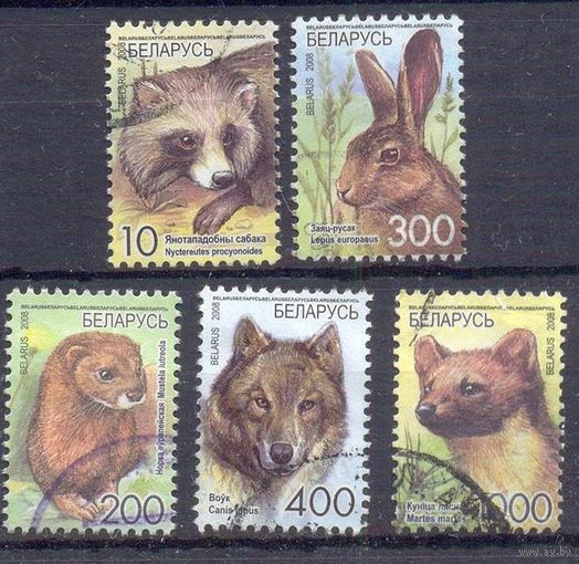 Беларусь стандарт 2008 фауна